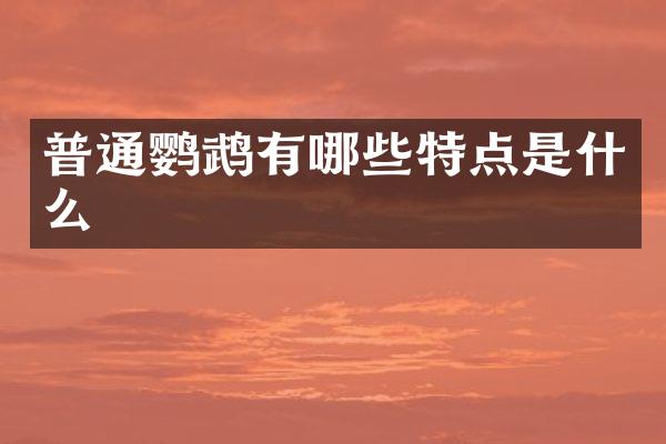 普通鹦鹉有哪些特点是什么