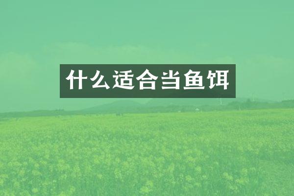 什么适合当鱼饵