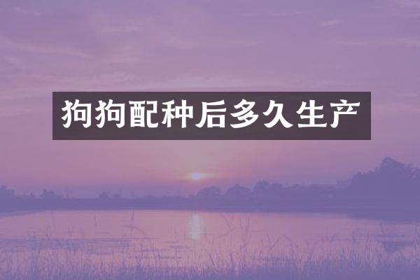 狗狗配种后多久生产