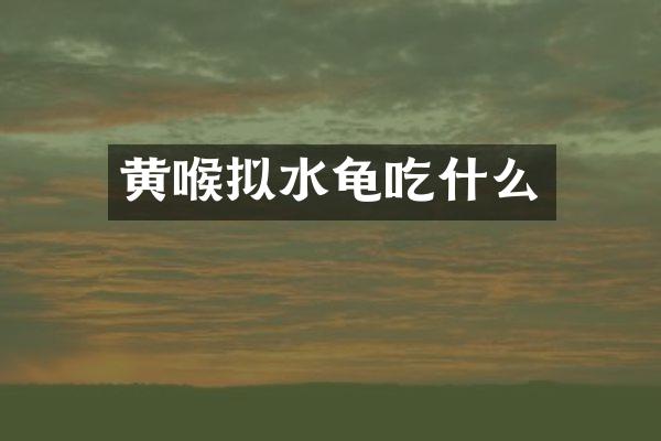 黄喉拟水龟吃什么