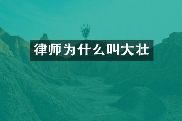 律师为什么叫大壮