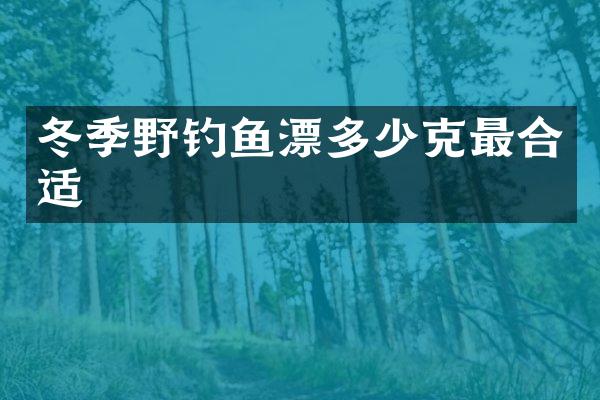 冬季野钓鱼漂多少克最合适