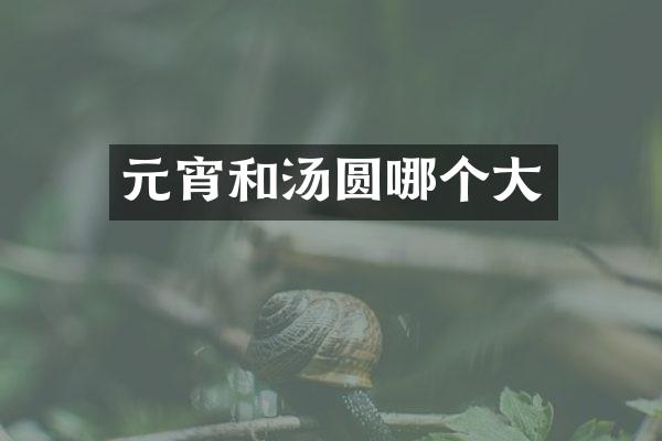 元宵和汤圆哪个大