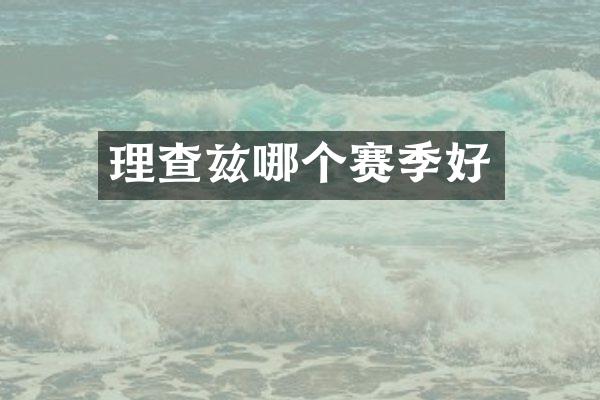 理查兹哪个赛季好