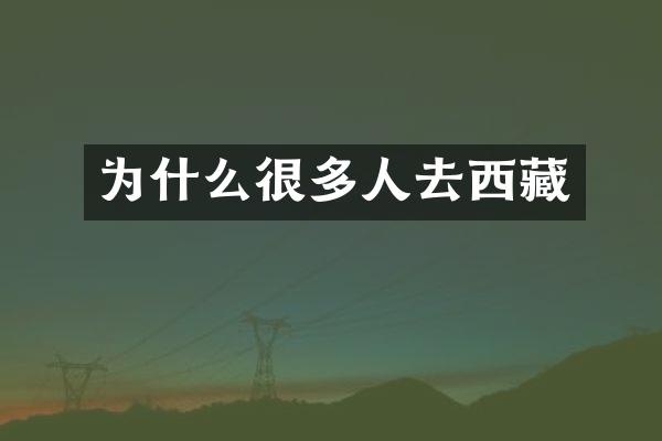 为什么很多人去西藏