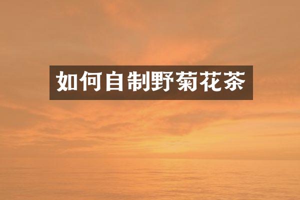 如何自制野菊花茶