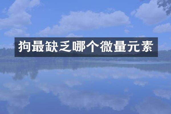 狗最缺乏哪个微量元素