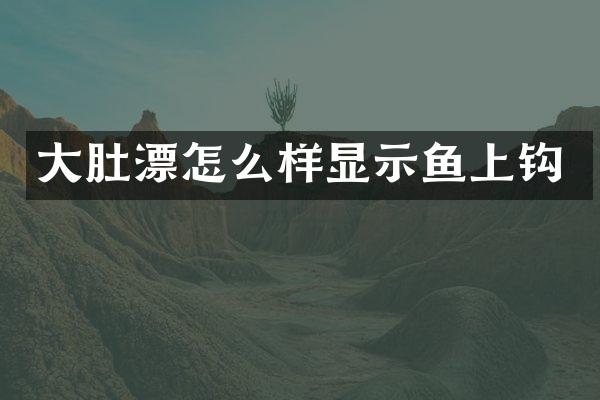 大肚漂怎么样显示鱼上钩