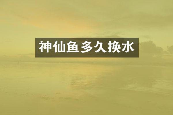 神仙鱼多久换水