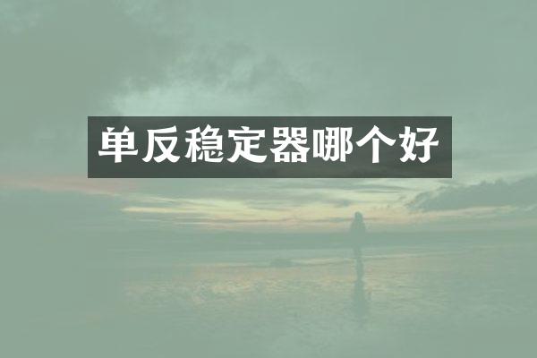 单反稳定器哪个好