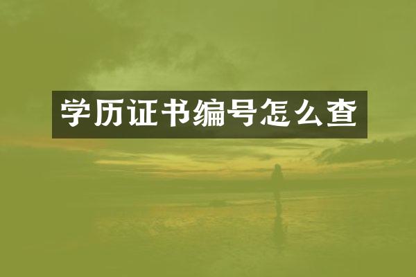 学历证书编号怎么查