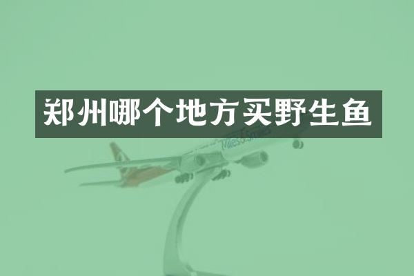 郑州哪个地方买野生鱼