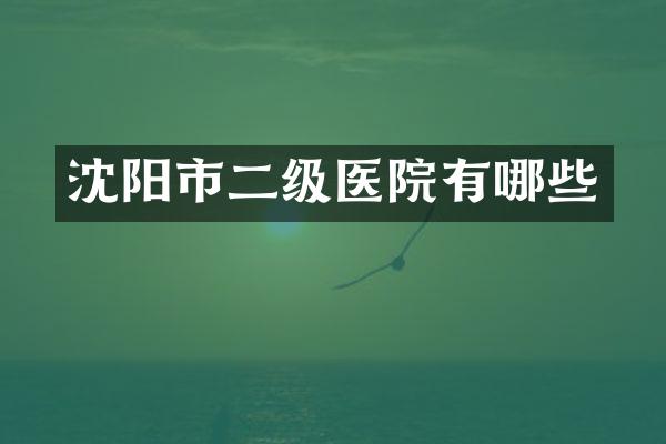沈阳市二级医院有哪些