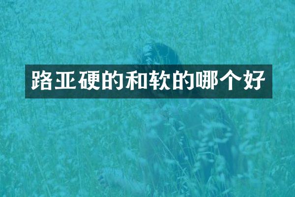路亚硬的和软的哪个好
