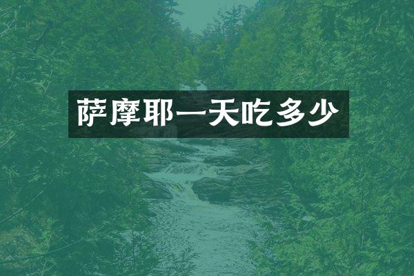 萨摩耶一天吃多少