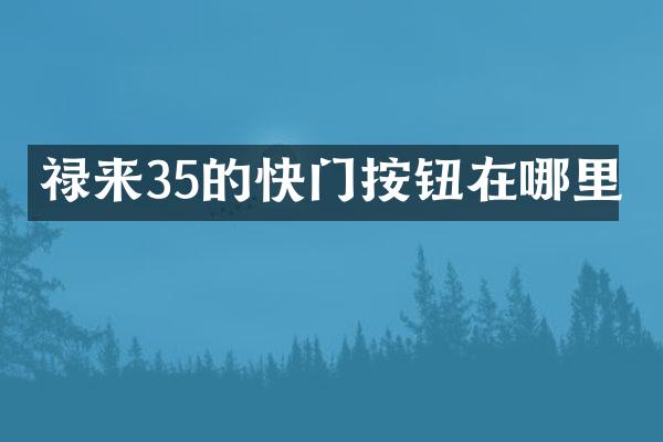 禄来35的快门按钮在哪里