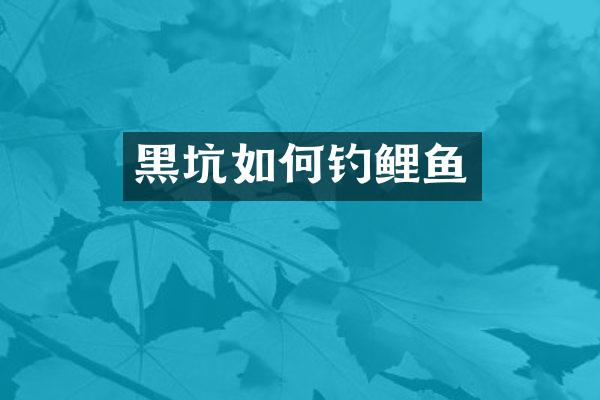 黑坑如何钓鲤鱼