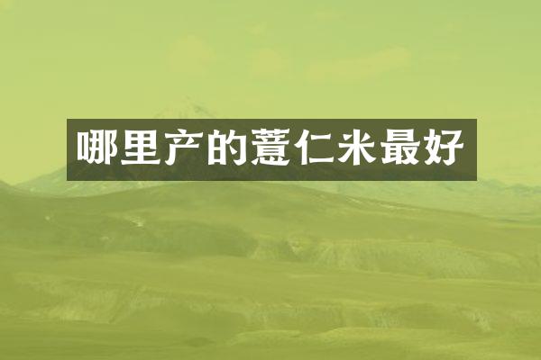 哪里产的薏仁米最好