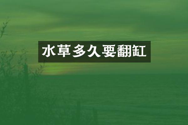 水草多久要翻缸