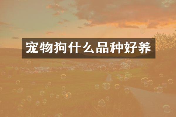 宠物狗什么品种好养