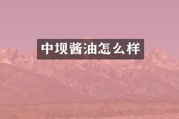 中坝酱油怎么样