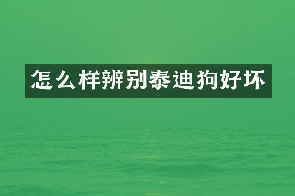 怎么样辨别泰迪狗好坏
