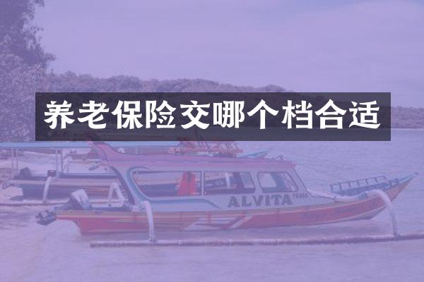 养老保险交哪个档合适