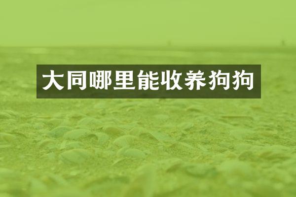 大同哪里能收狗