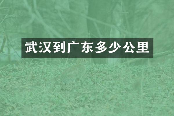 武汉到广东多少公里