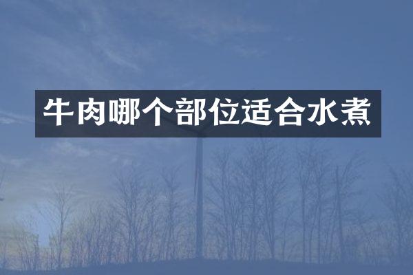 牛肉哪个部位适合水煮