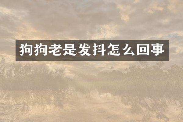 狗狗老是发抖怎么回事