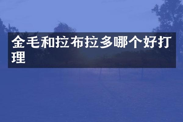 金毛和拉布拉多哪个好打理