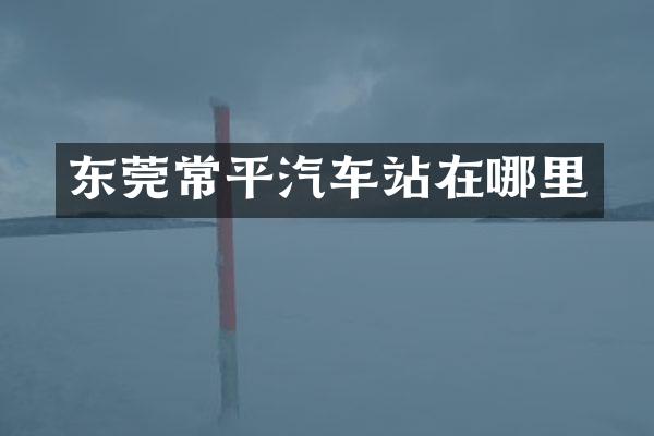 东莞常平汽车站在哪里