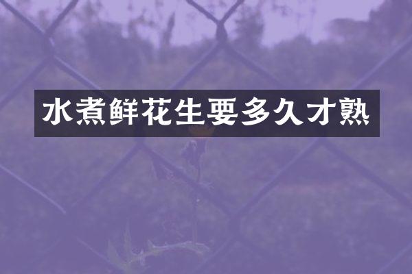 水煮鲜花生要多久才熟