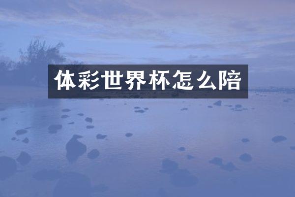 体彩世界杯怎么陪