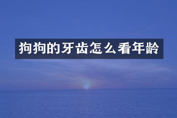 狗狗的牙齿怎么看年龄