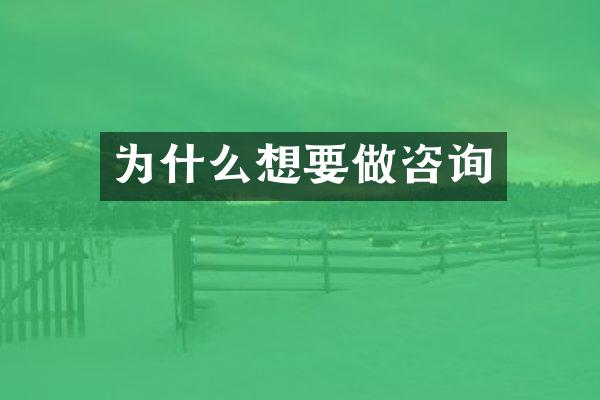 为什么想要做咨询