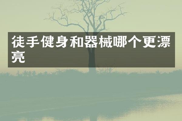徒手健身和器械哪个更漂亮