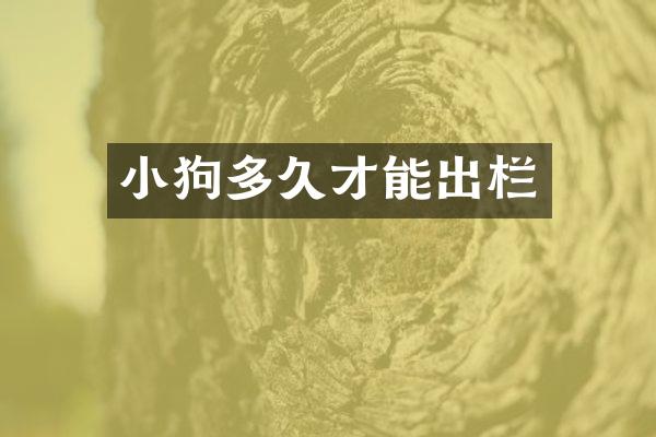 小狗多久才能出栏