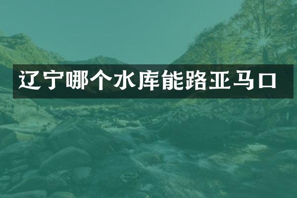 辽宁哪个水库能路亚马口