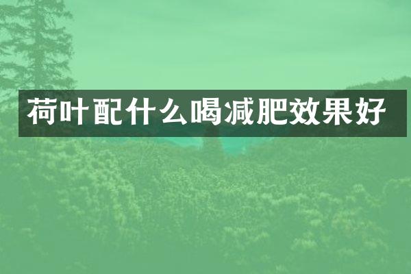 荷叶喝减肥效果好