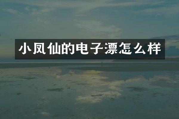 小凤仙的电子漂怎么样