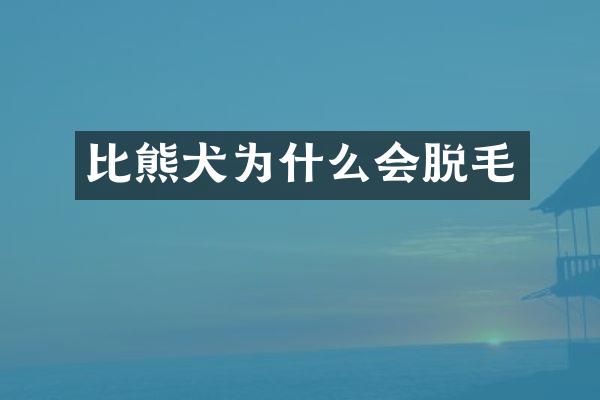 比熊犬为什么会脱毛