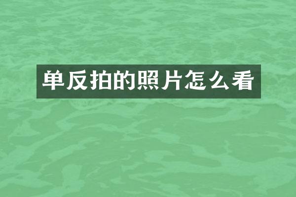 单反拍的照片怎么看