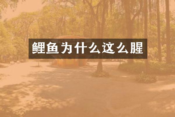 鲤鱼为什么这么腥