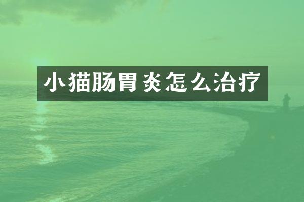 小猫肠胃炎怎么治疗