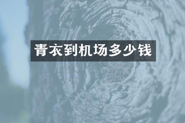 青衣到机场多少钱