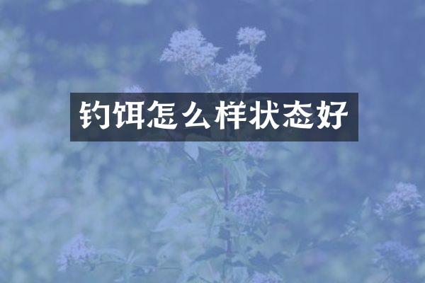 钓饵怎么样状态好
