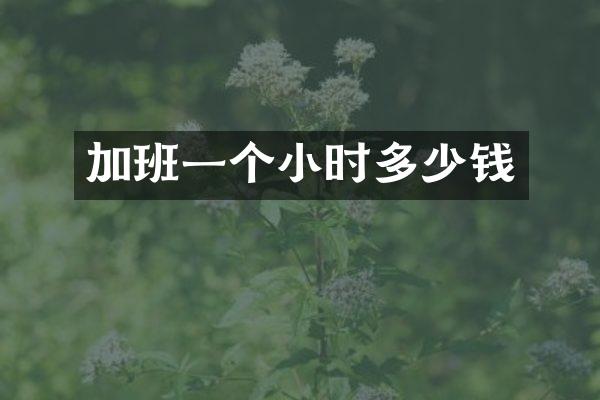 加班一个小时多少钱