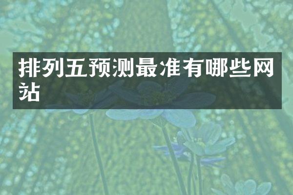 排列五预测最准有哪些网站